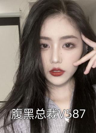 腹黑总裁V587小说