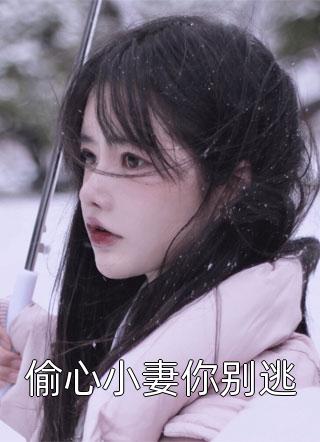 偷心小妻你别逃小说