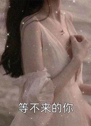 等不来的你小说