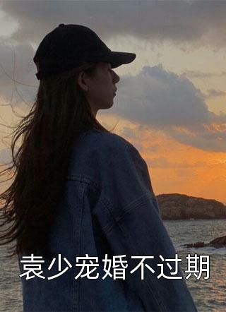 袁少宠婚不过期小说