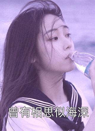 曾有相思似海深小说