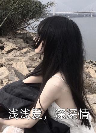 浅浅爱，深深情小说