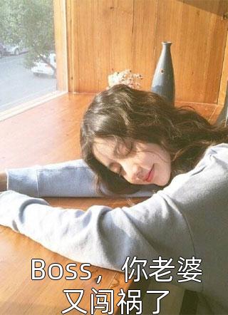 Boss，你老婆又闯祸了小说