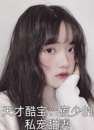 天才酷宝：夜少的私宠甜妻小说