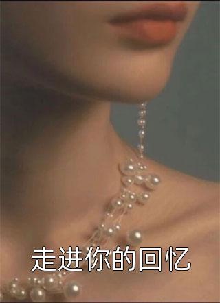 走进你的回忆小说