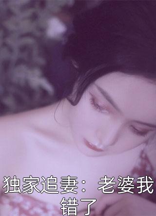 独家追妻：老婆我错了小说