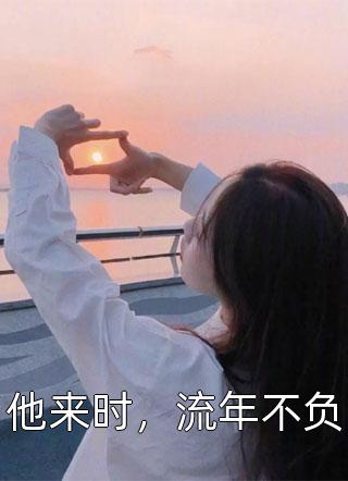 他来时，流年不负小说