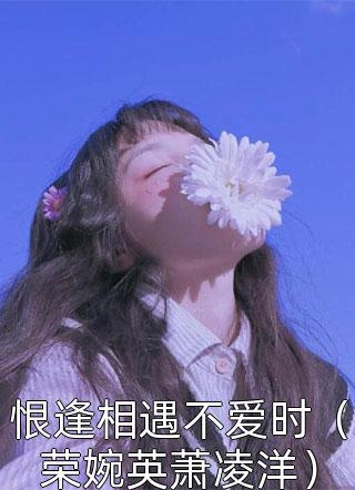 恨逢相遇不爱时（荣婉英萧凌洋）小说