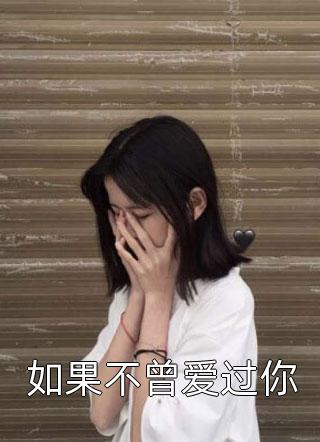 如果不曾爱过你小说