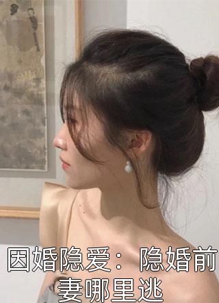 因婚隐爱：隐婚前妻哪里逃小说