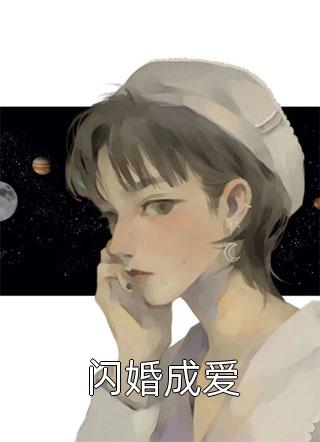 闪婚成爱小说