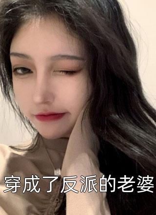 穿成了反派的老婆小说