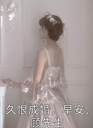 久恨成婚，早安，顾先生小说