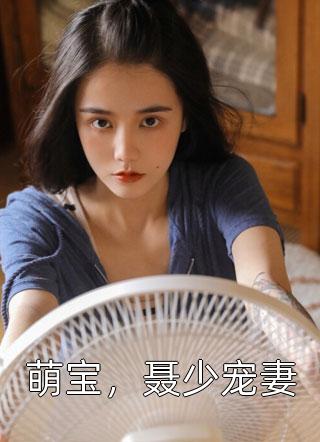 萌宝，聂少宠妻小说