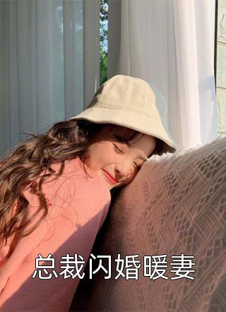 总裁闪婚暖妻小说