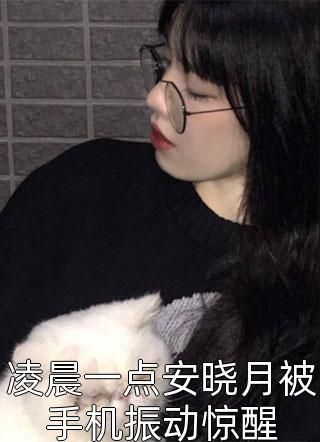 凌晨一点安晓月被手机振动惊醒小说