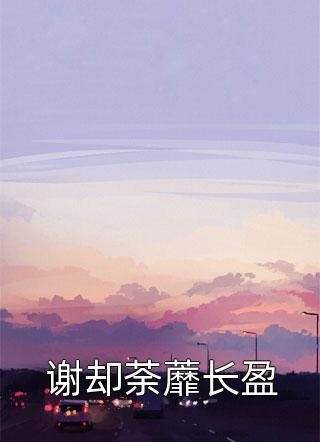 谢却荼蘼长盈小说