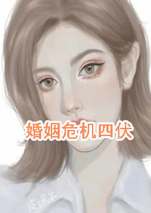 婚姻危机四伏小说