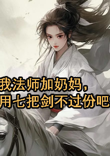 我法师加奶妈，用七把剑不过份吧小说