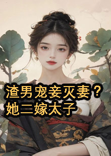 渣男宠妾灭妻？她二嫁太子小说