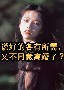 说好的各有所需，又不同意离婚了？小说