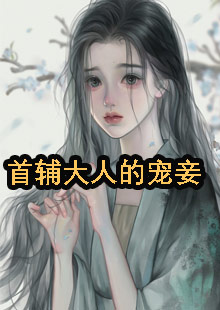 首辅大人的宠妾小说