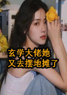 卫绵风水大师一日三卦小说名字是什么